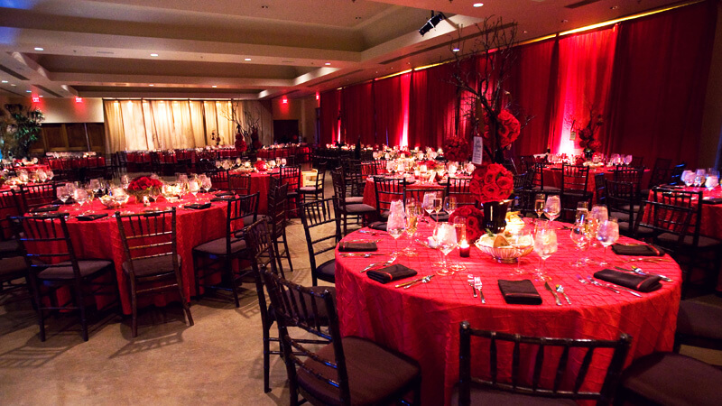 holiday party at dbg