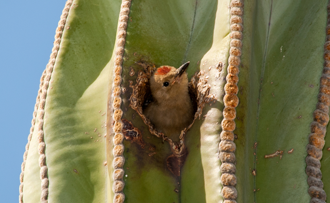 GARDEN INSTRUCTORS SHARE PHOTOGRAPHY TIPS