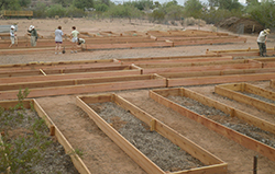COMMUNITY GARDEN