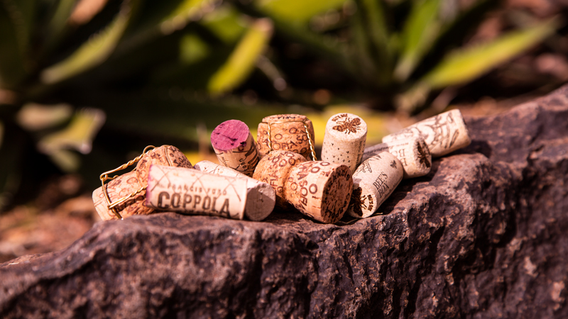 Corks & Cactus