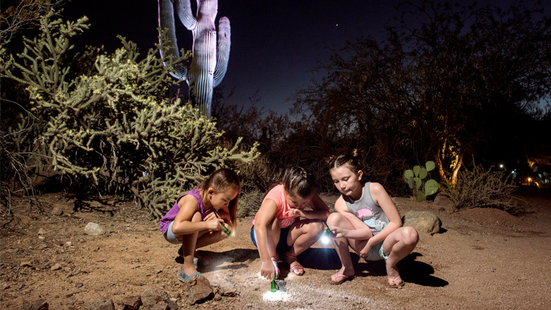 Flashlight Tours