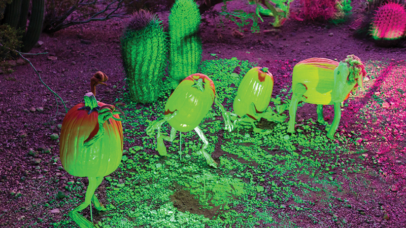 Strange Garden